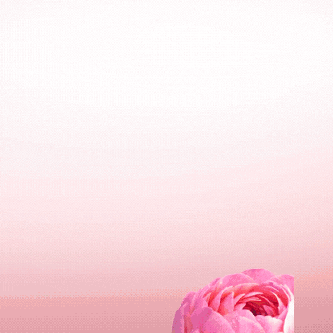 GIF-HP_mobile-1080x1080-MSS-FR