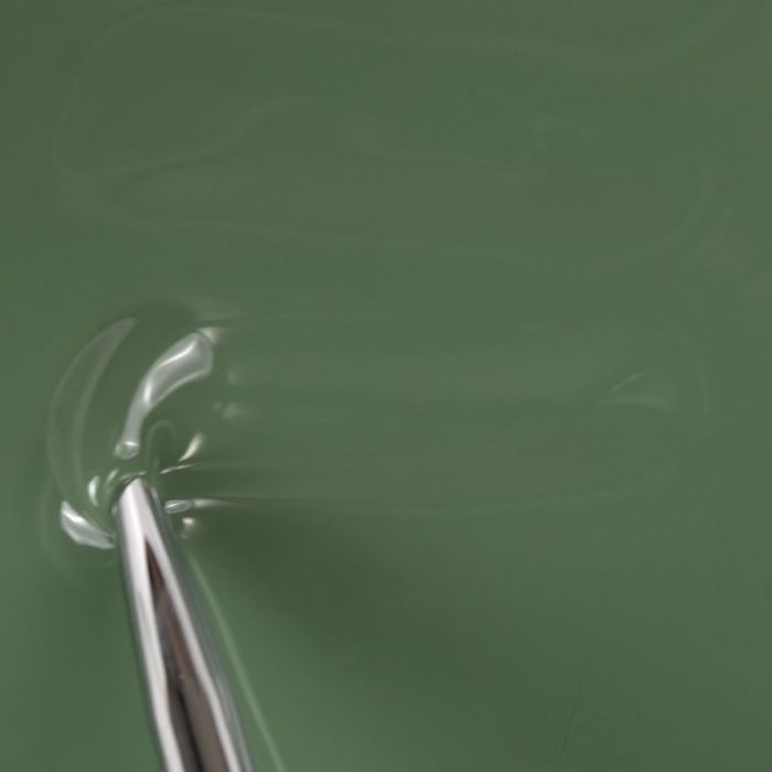 Application of Gel Nail Polish GP420 Lifetime