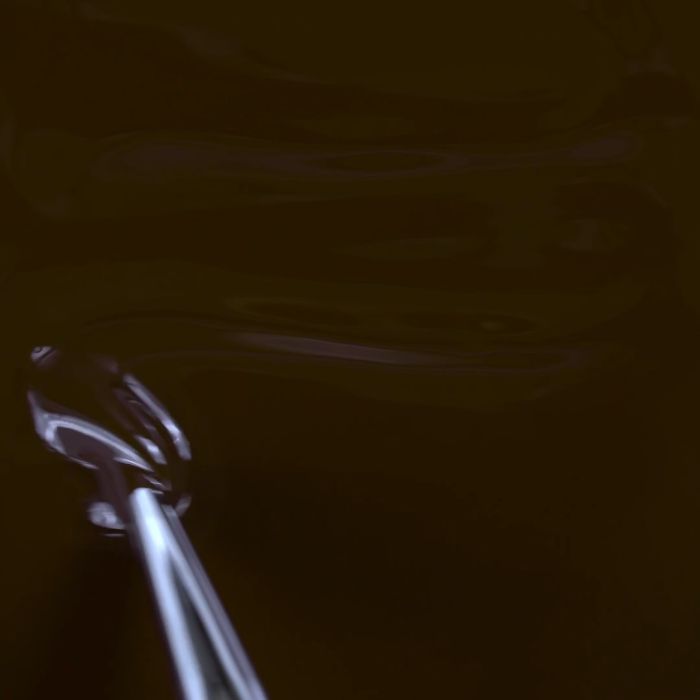 Applicazione di Colore semipermanente SP208 Snob