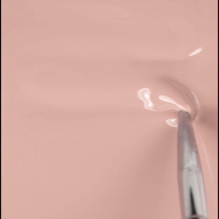 Applicazione di Colore semipermanente SP462 Camelia