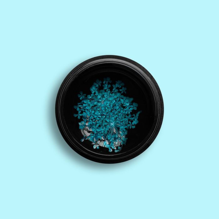 Turquoise Dry Flower - Fiori veri essiccati per unghie, colore turchese