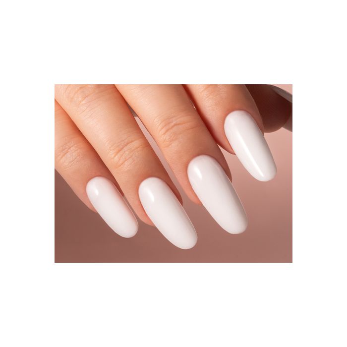 PassioneBeauty Acrylic System