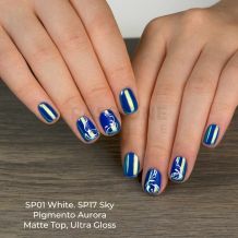 Gel Nail Polish GP17 Sky 