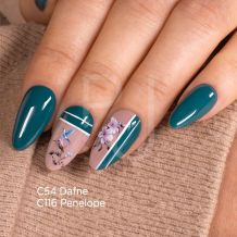 Gel Couleur C116 Penelope