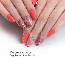 Gel couleur C101 Ribes