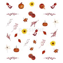 Pumpkin - Nail Stickers