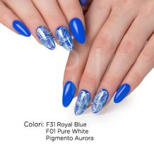 Gel Couleur F31 Royal Blue