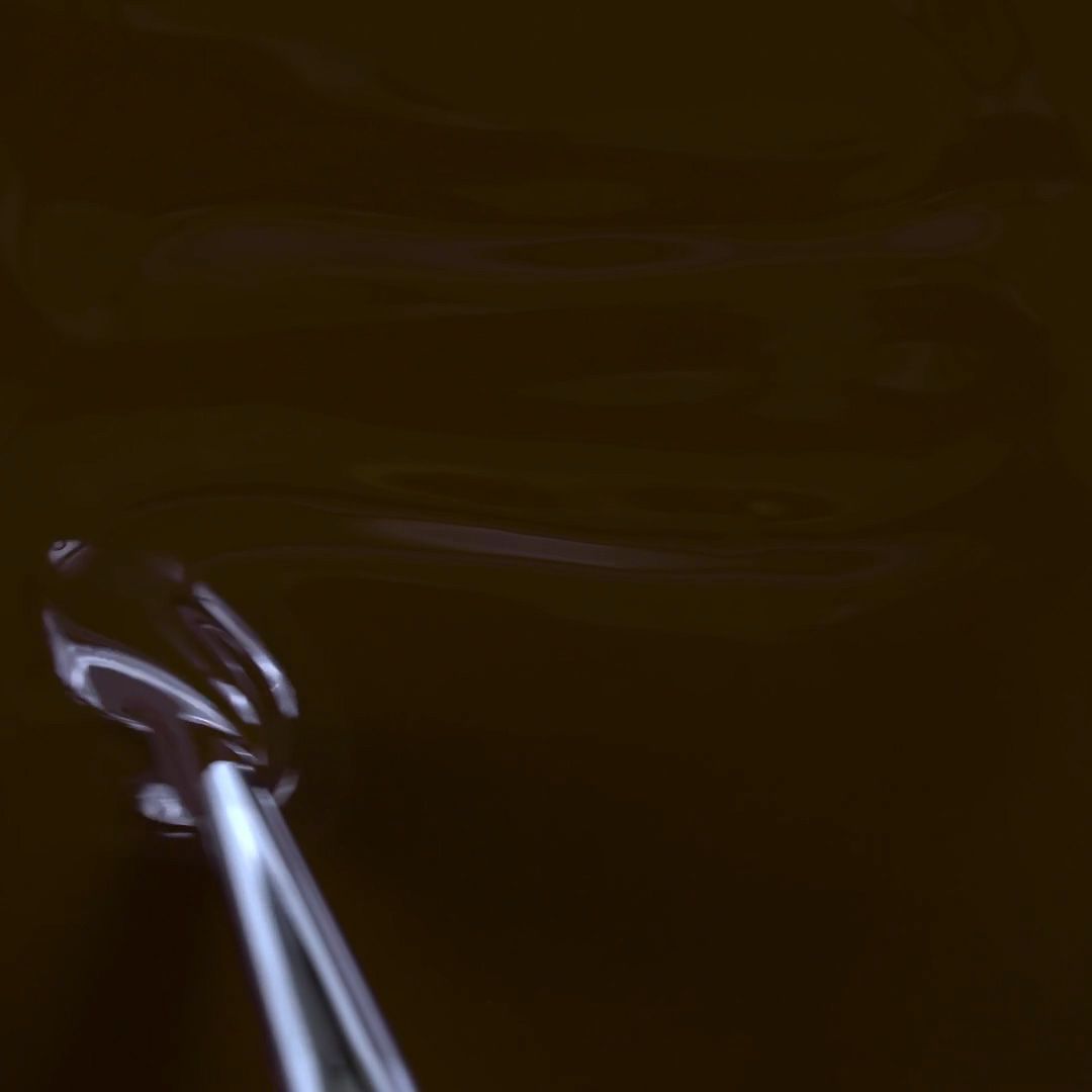 Applicazione di Colore semipermanente SP208 Snob