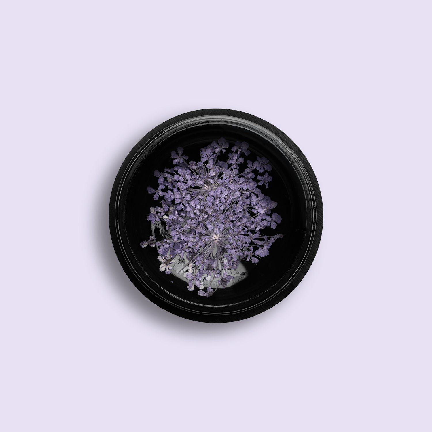 Lilac Dry Flower - Fiori veri essiccati per unghie, colore lilla