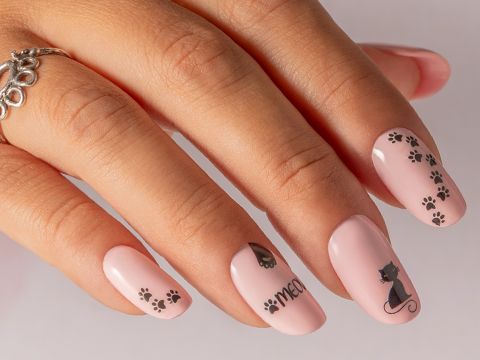 Manicura de gatitos