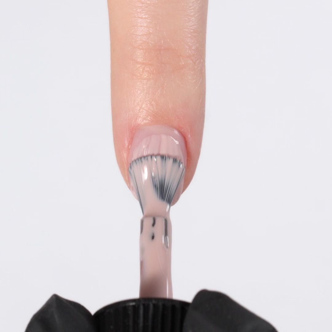 Applicazione di Colore semipermanente SP462 Camelia