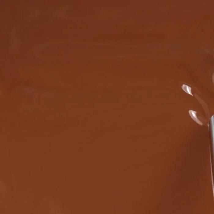 Application of Gel Nail Polish SP592 Cocoa