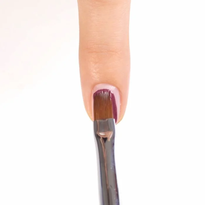 Aplicarea Gel Color F91 Must