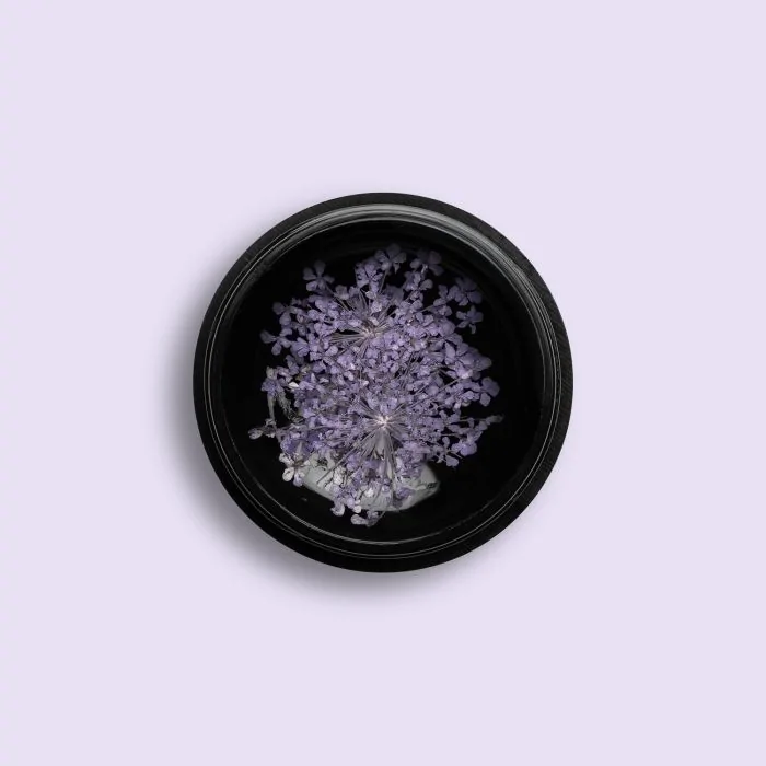 Lilac Dry Flower - Flores reales secas para uñas, color lila