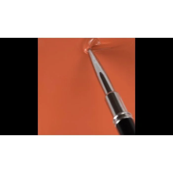 Applicazione di Colore semipermanente SPC94 Dama