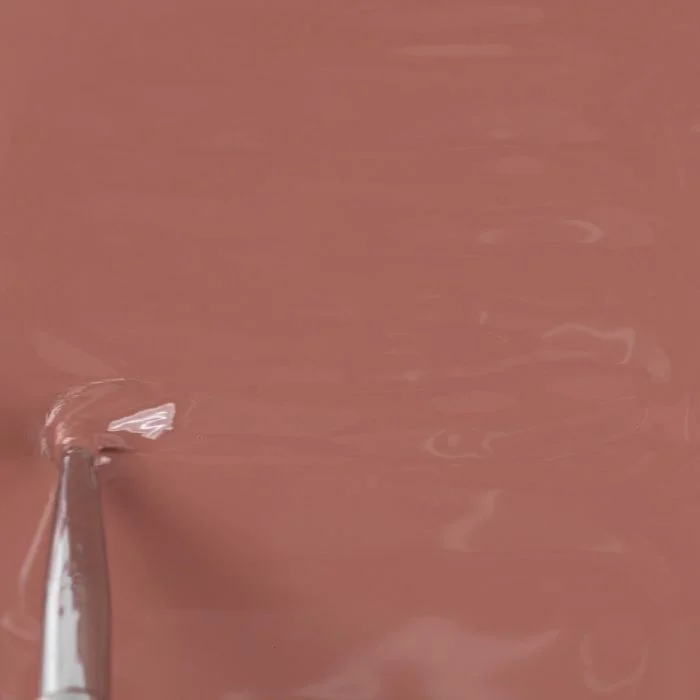 Applicazione di Colore semipermanente SPC68 Cinnamon