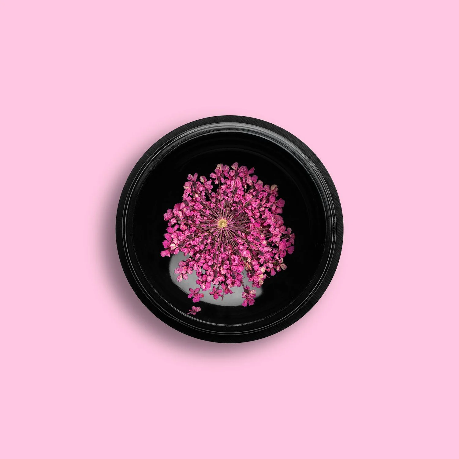 Fuchsia Dry Flower - Fleurs naturelles séchées pour ongles, couleur rose