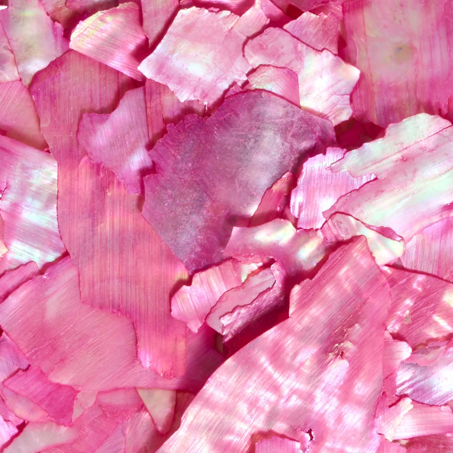 Fuchsia Crushed Shell - Fuchsia mother of pearl flakes for nail decoration - detail 1