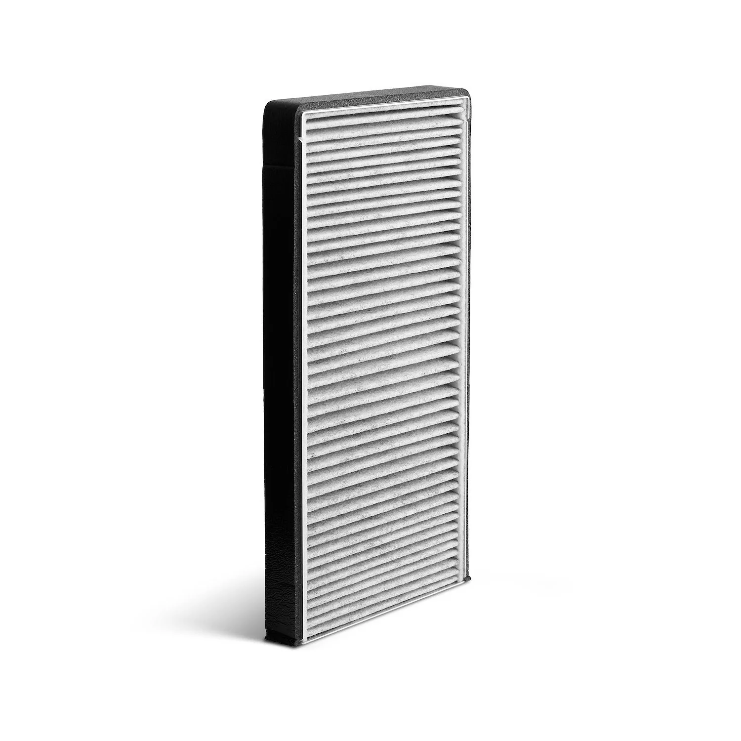 Filtro Taifun ai carboni attivi - Filtro Ricambio Taifun per uso professionale