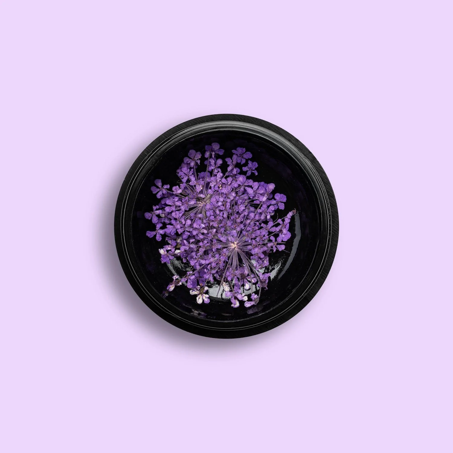 Violet Dry Flower - Flores naturales secas para las uñas, color violeta
