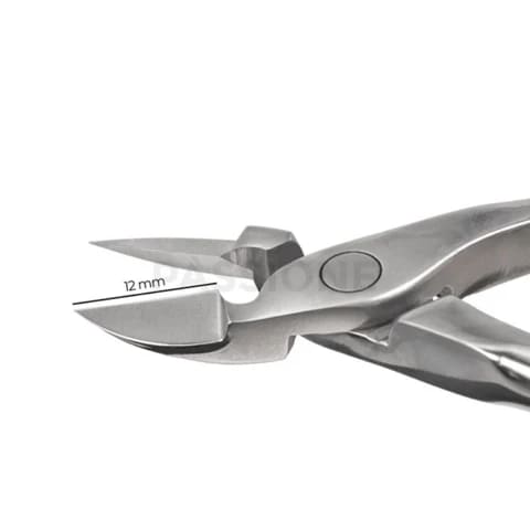 2_6d20ee2f-220c-4a37-a93d-4a1208fd136e_480x480