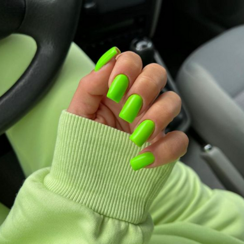 6_50764178-df6d-459f-a010-8817200f2bdc_480x480